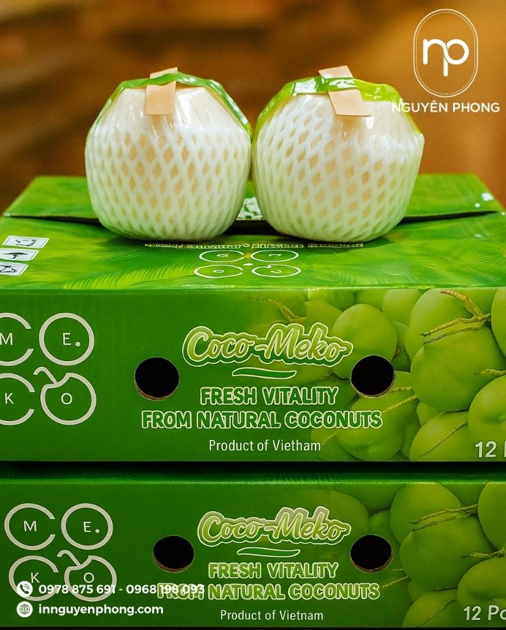 Thùng carton đựng dừa thiết kế lỗ thông hơi